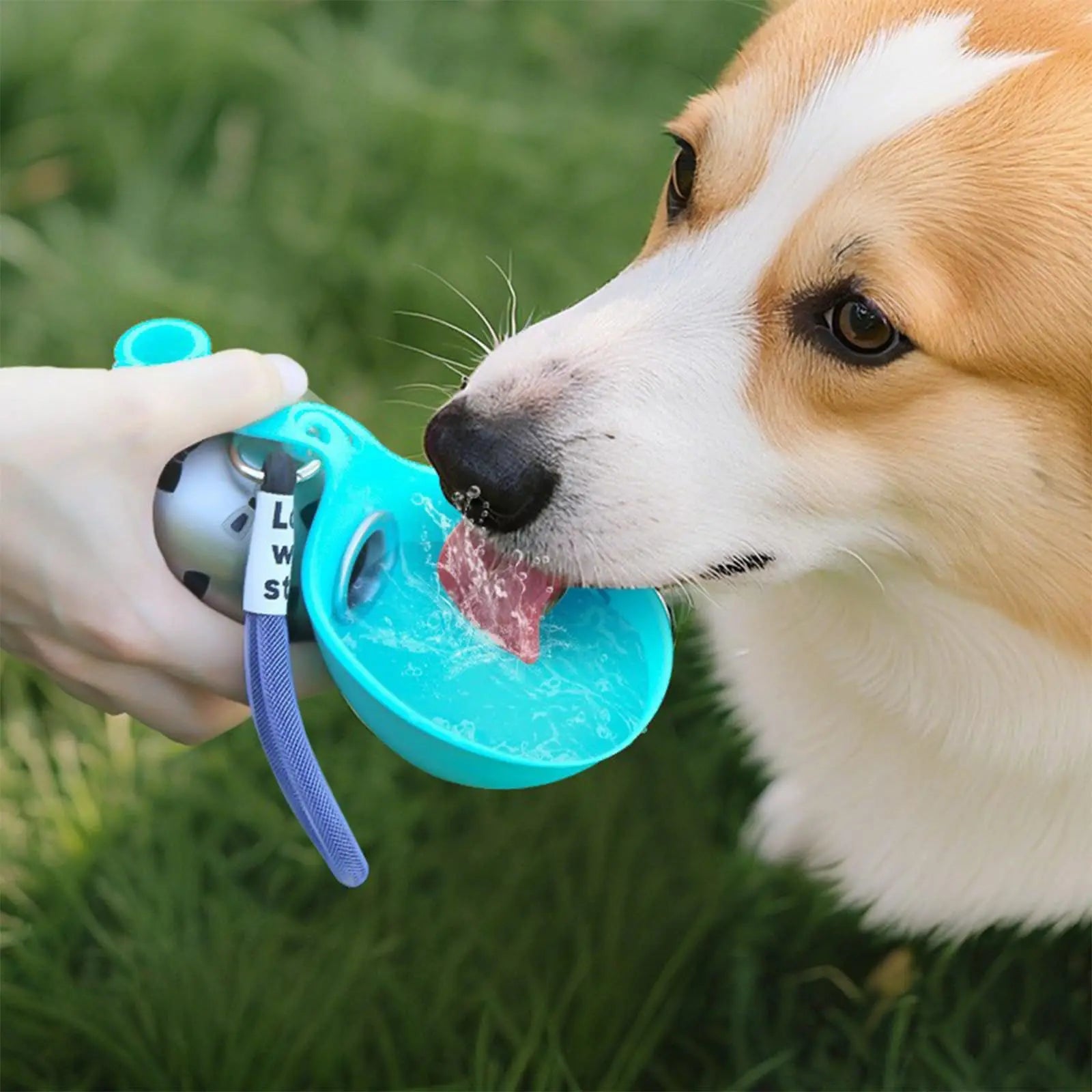 Puppy Water Bottle. 285Ml Stainless Steel. Travel Portable Water bottle.