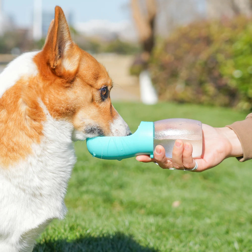 300ML Puppy Drinking, feeder Bowls. For Small, Medium dogs, cats.